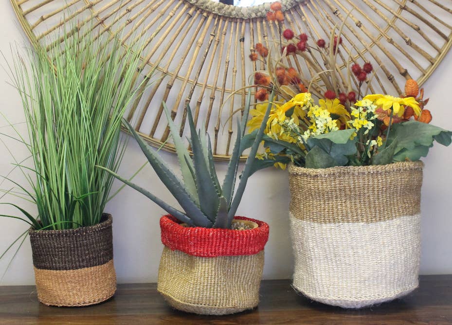 Potted Planter, Set of 3