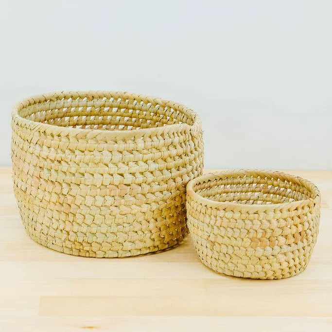 Potted Planter, Palm Leaf