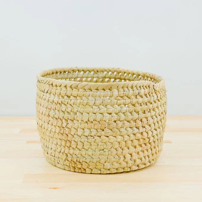 Potted Planter, Palm Leaf