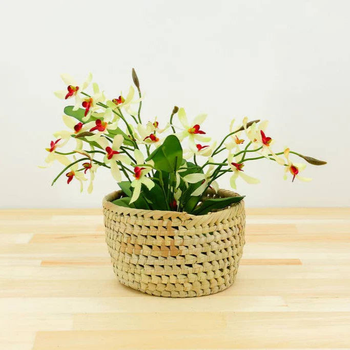 Potted Planter, Palm Leaf