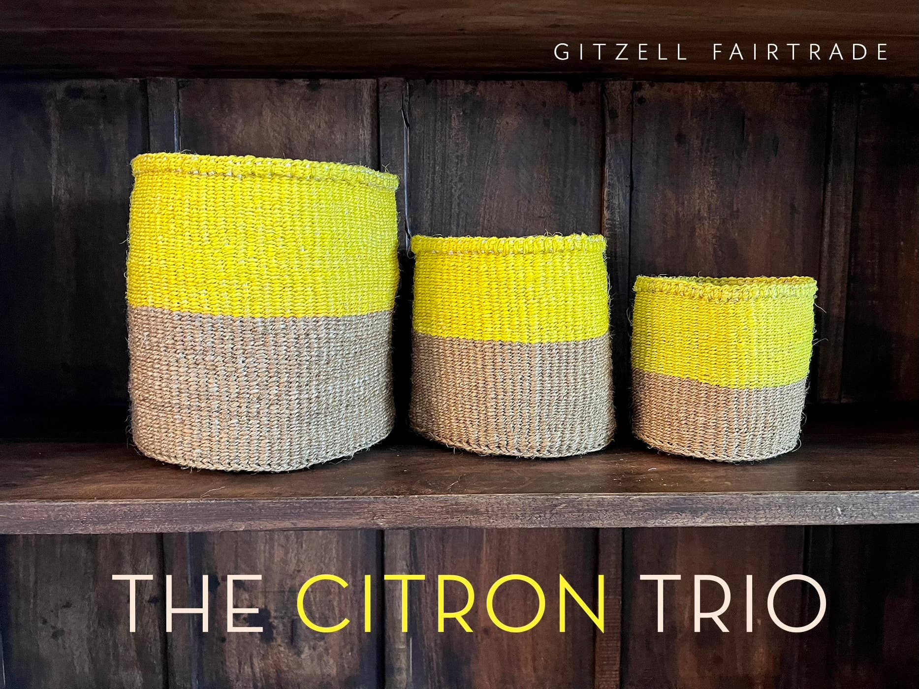 Potted Planter, Set of 3